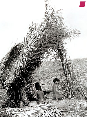 'A leaf shelter in the dry season' by the Nambikwara 1938, from 'Tristes Tropiques' by Claude Lévi-Strauss 1955