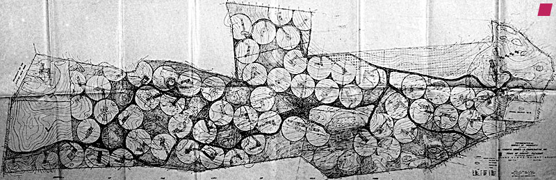 'Usonia II' site plan for Usonia Homes, Inc. in Pleasantville, New York, 1947 by Frank Lloyd Wright from 'Frank Lloyd Wright: Die lebendige Stadt' edited by David G. De Long, 1998